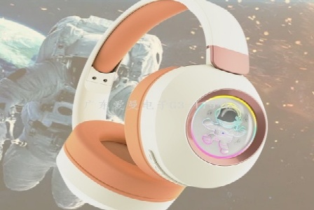 巢湖市文物管理所形象图